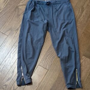 Albion Jetsetter Joggers with Gold Zippers